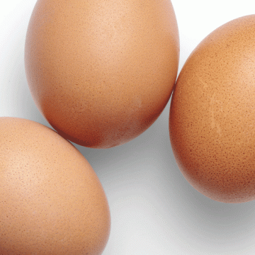 Gewebskulturen zur Untersuchung des Tumormikromilieus Gewebskulturen zur Untersuchung des Tumormikromilieus